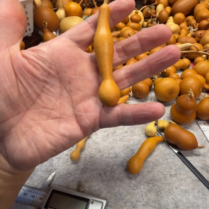 y*歪歪买了不少歪歪的一把小本账户了