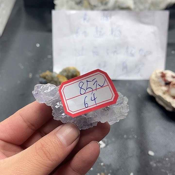 水***狐石材64号5766666969