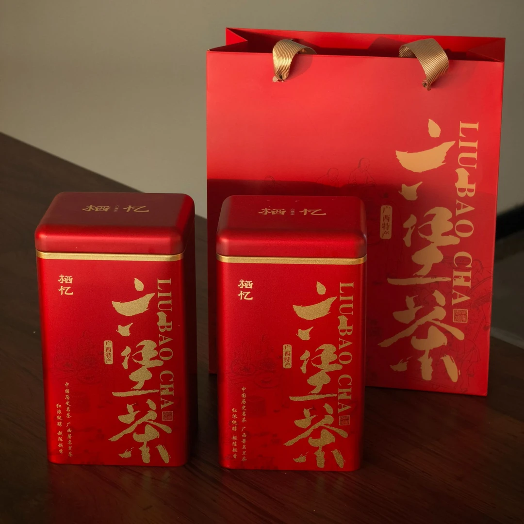 广西梧州黑茶14年陈过年送礼佳品传统工艺老树六堡茶400g