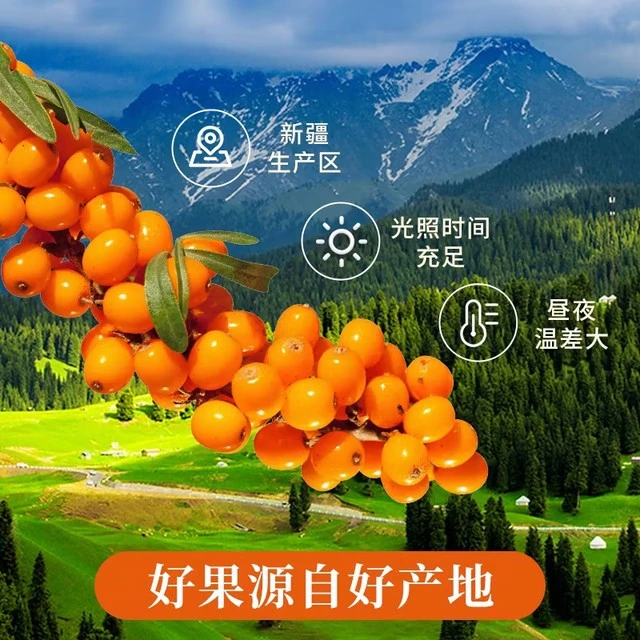 新疆原产地研磨型新疆丝路发现牌沙棘全果原浆鲜果鲜榨果汁原浆H