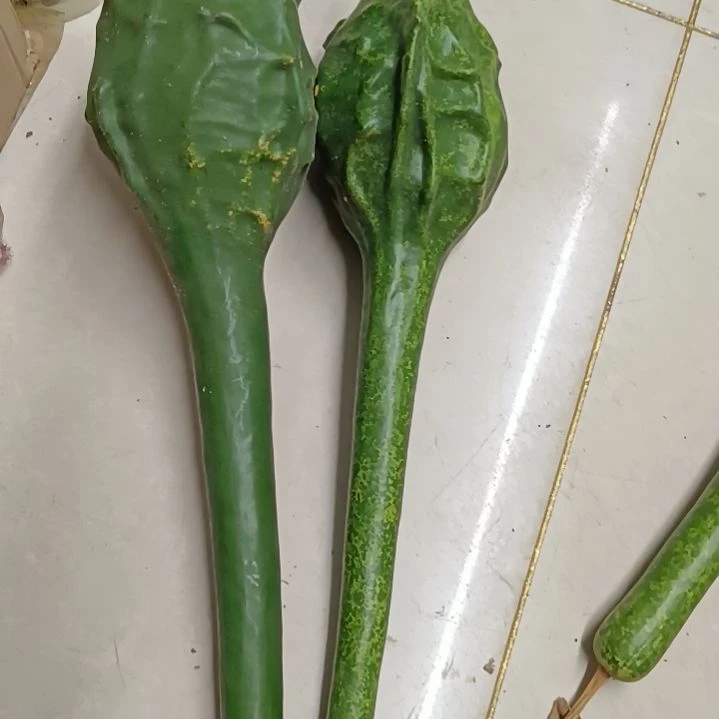 鑫***艺木鹤首葫芦！！！！！！！！