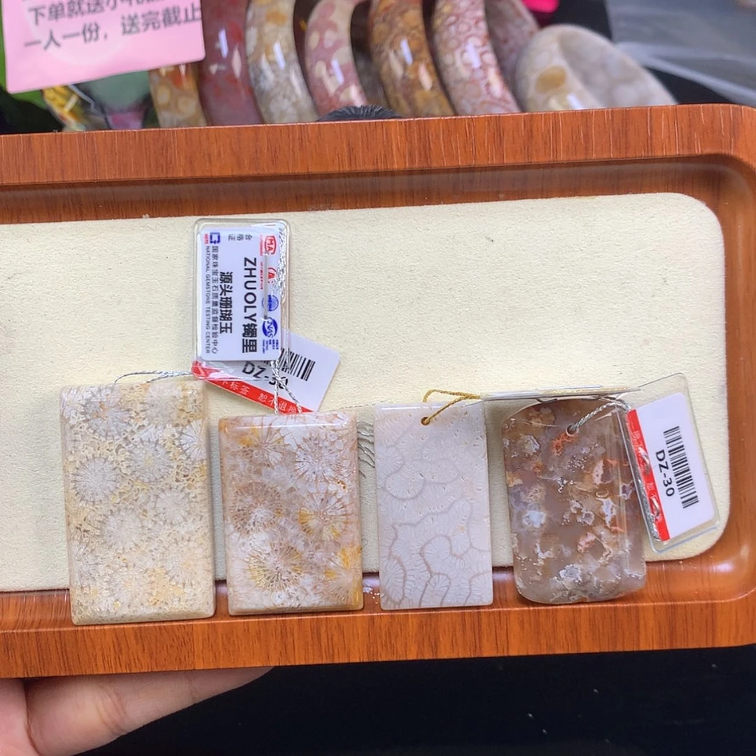 【闪购商品】颈饰未镶嵌硅化珊瑚（珊瑚玉）藤*翼