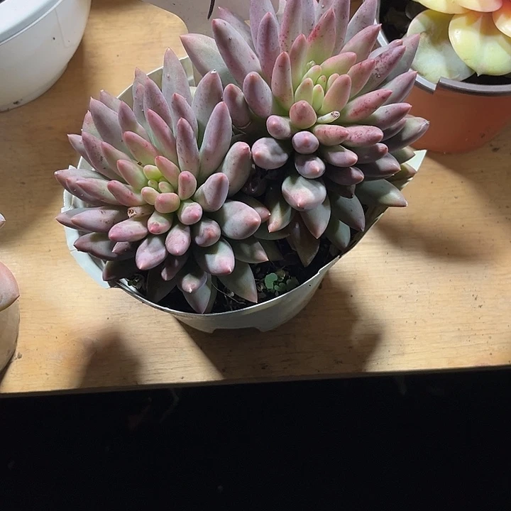 南***意0000000000000000000119