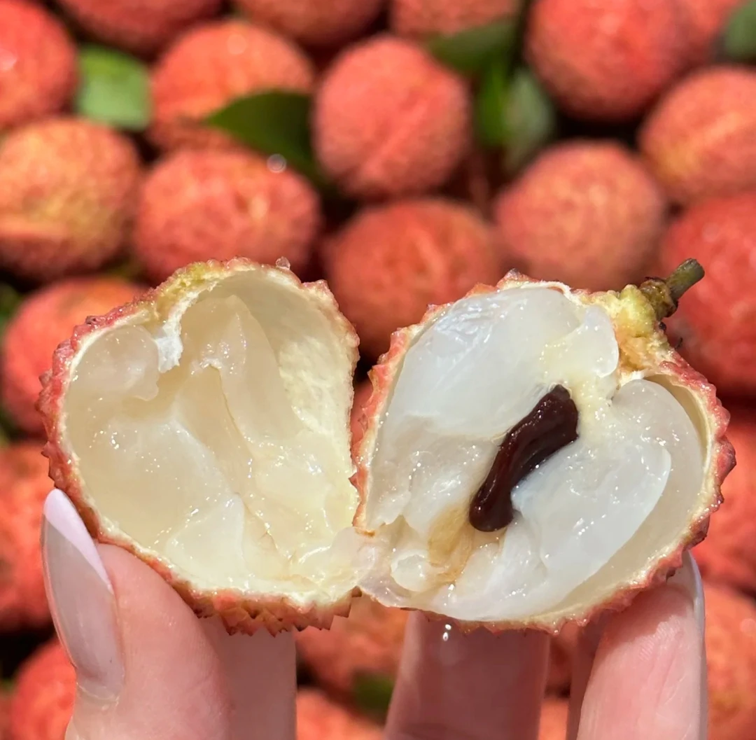 【顺丰京东｜桂味荔枝】广东正宗桂味荔枝当季现摘现发桂味老树荔枝