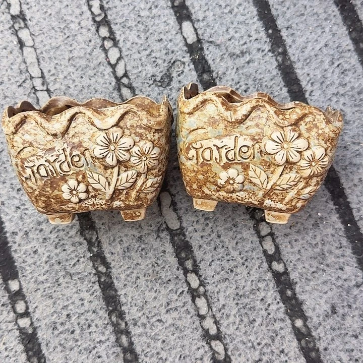 多肉植物陶瓷花盆