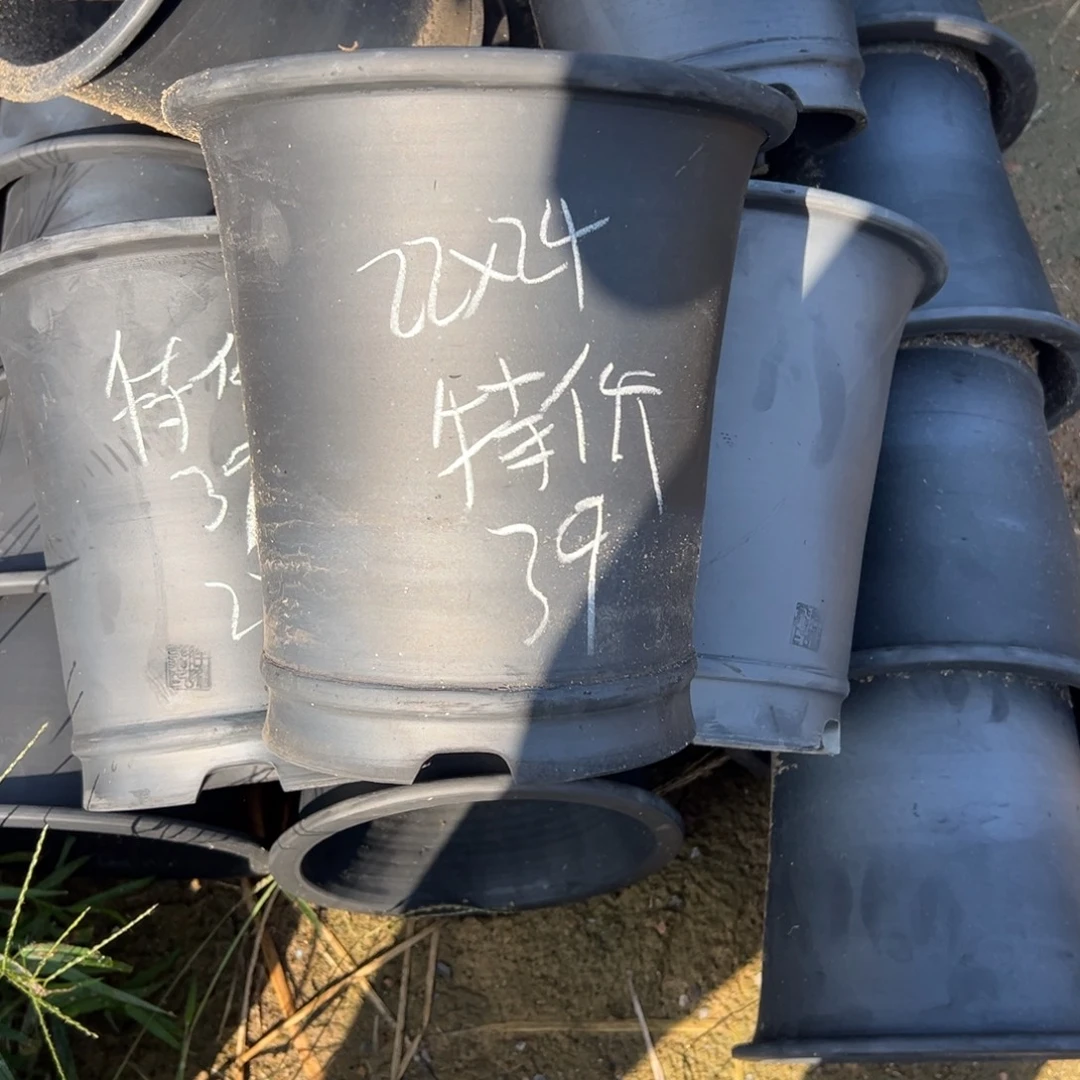 特价直筒口径22高度24