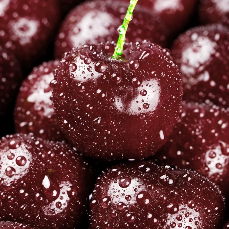 双3JD智利进口空运车厘子脆甜多汁新货现发汕头同城小时达800g一盒桑提娜智利