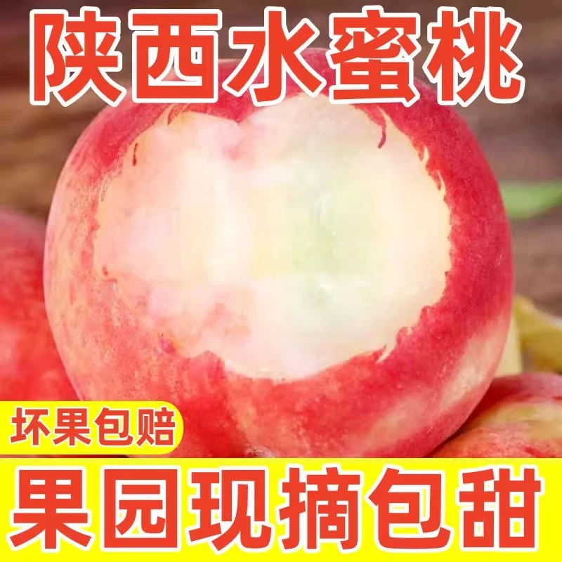 现摘水蜜桃陕西毛桃软桃脆甜露天桃子香甜当季新鲜水果现摘现发