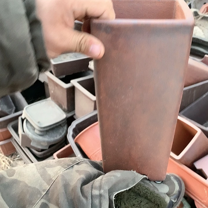 紫砂我要努力做自己喜欢的事情