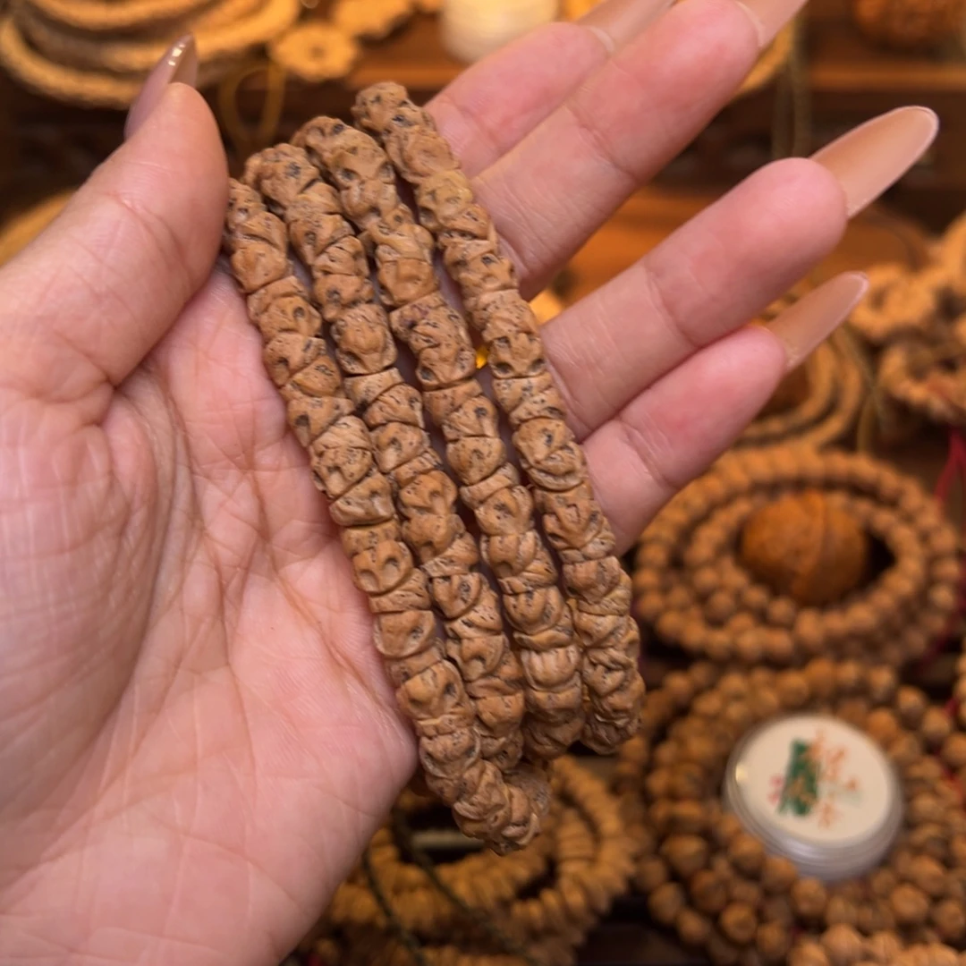 木***李木质类红油皮深坑狐狸大肠