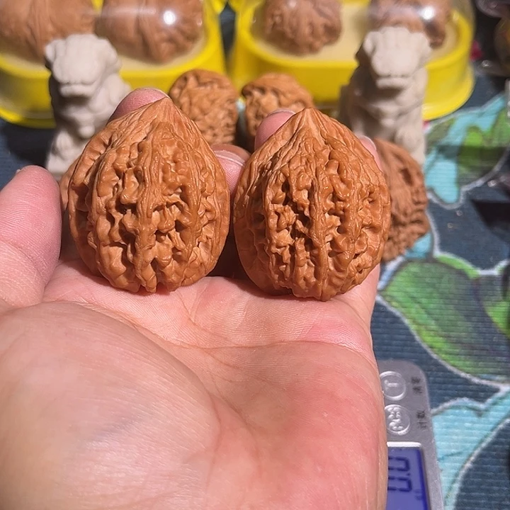 核桃老树红皮大沽石40全品