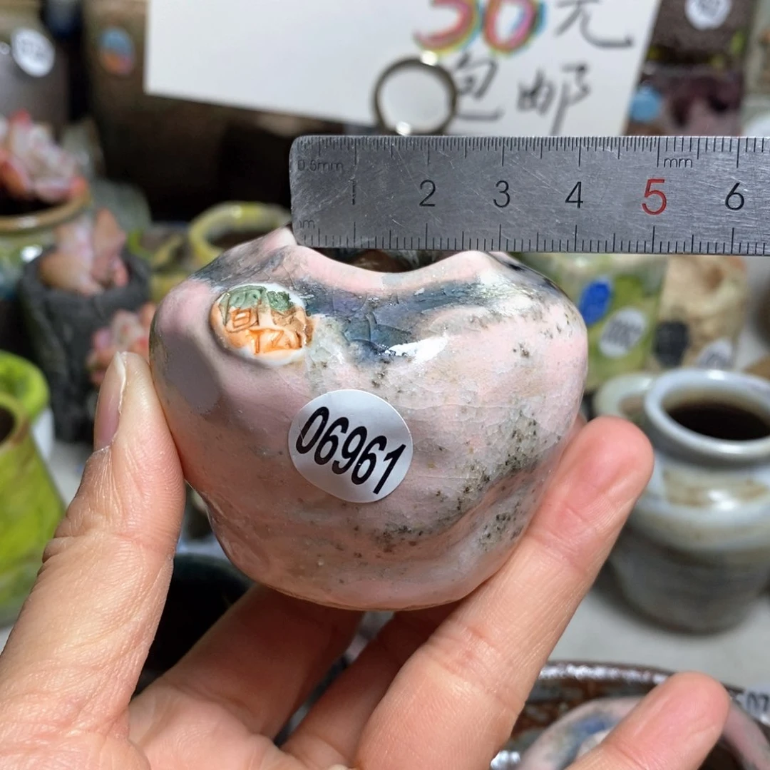 花盆拍3送一个小礼物