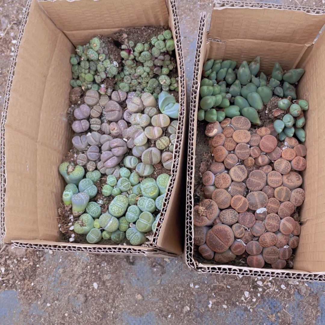 一箱拼箱8888888888888