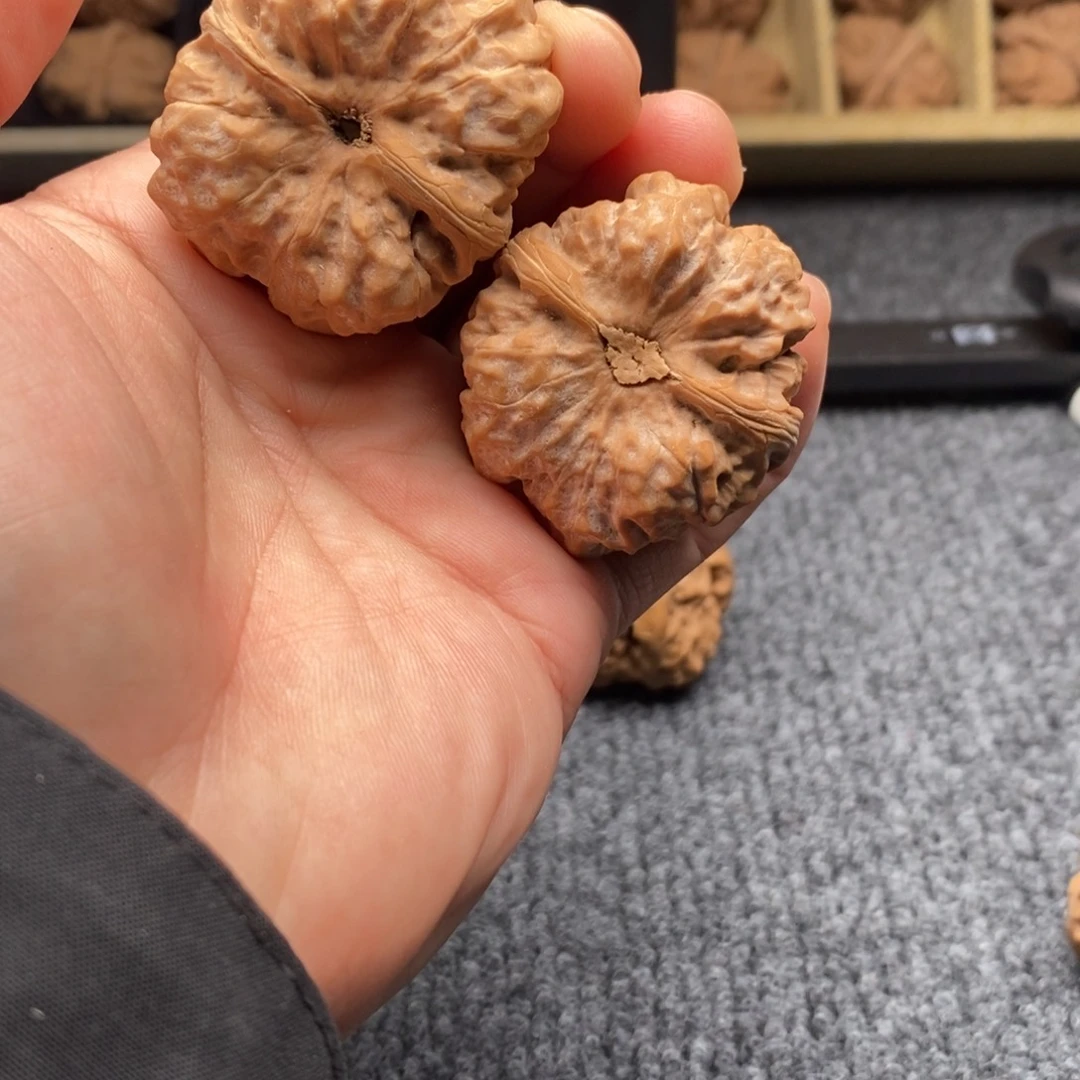 迷***狼好的我真的是太喜欢这个节目