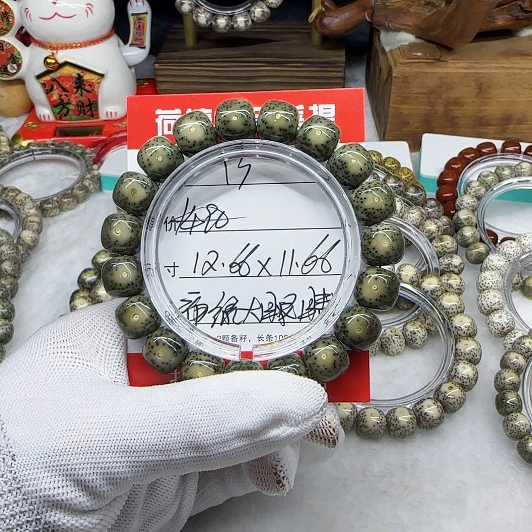 葡**爸海南荷塘星月菩提13