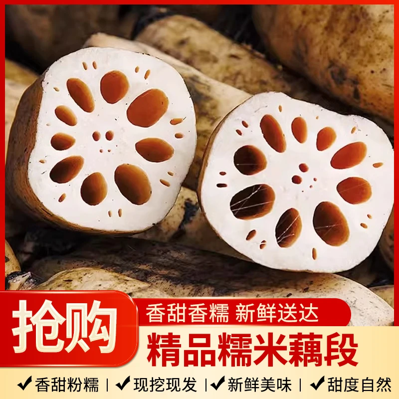 乐翔农产品直供新鲜清香粉糯嫩莲藕现挖清脆面藕粉藕糯米藕煲汤