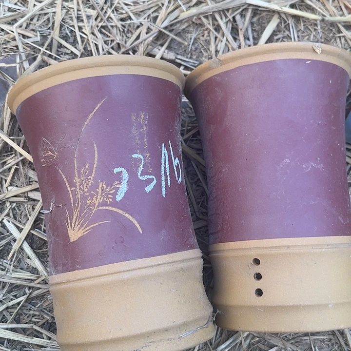紫砂杯及红石酒品中具有极多