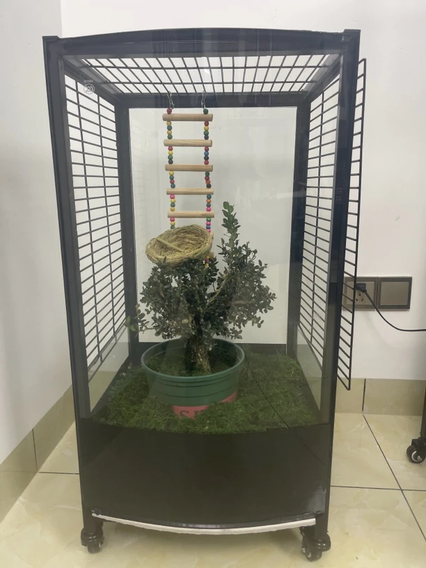 曲面圆形生态鸟笼定制专用链接高80*40*40（定制款不接受退换货）