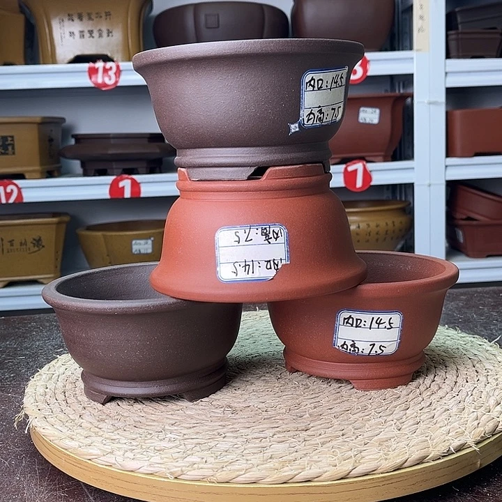 花盆紫砂你在一起