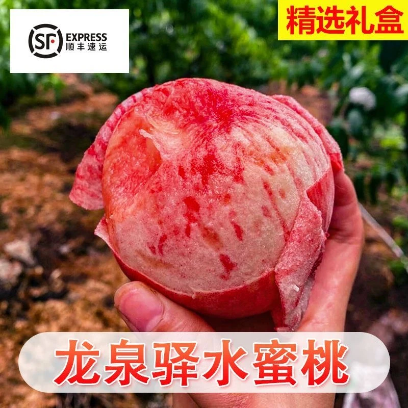 【壹何水果】四川龙泉山脉水蜜桃软桃毛桃当季孕妇水果现摘现发新鲜