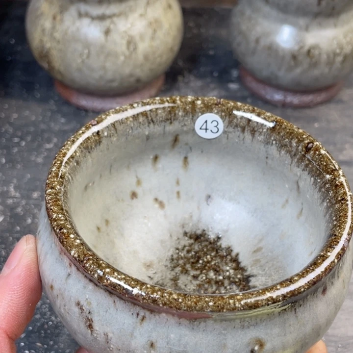 茶宠盏盏灯都是我的爱