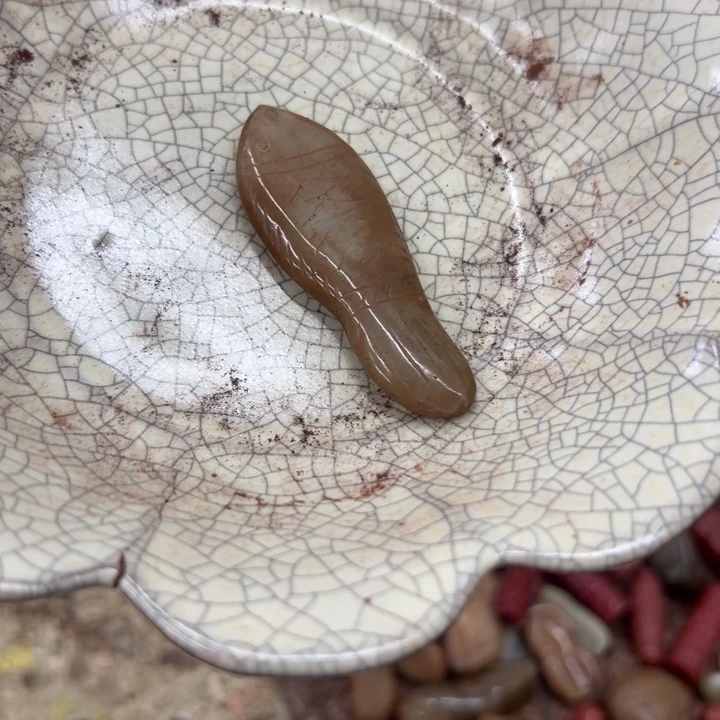 其他瓷器瓷器瓷器瓷器