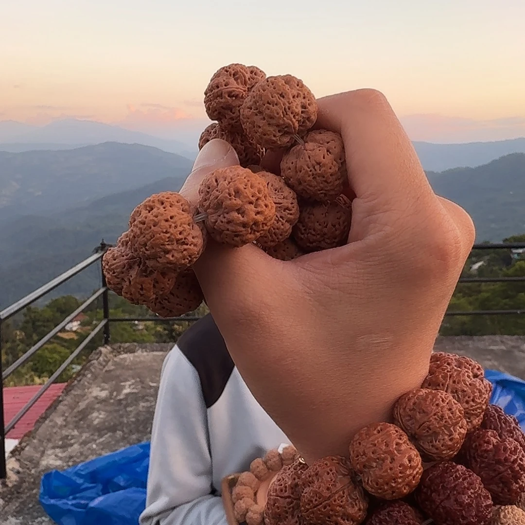 金刚菩提手串梁蜂王19毫米银标