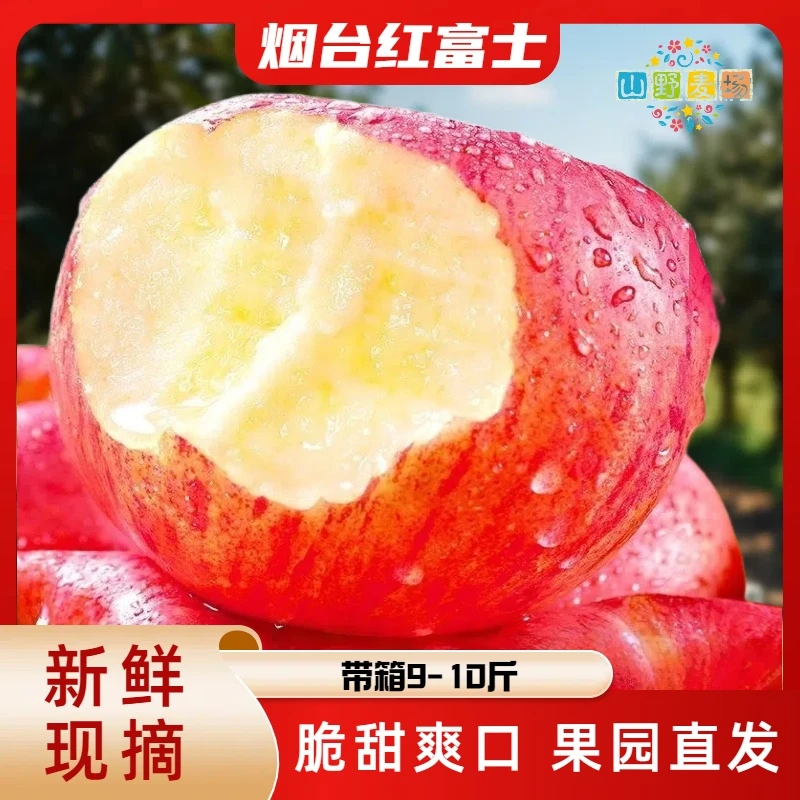【带箱9-10斤】山东烟台红富士苹果单果75-85mm脆甜新鲜水果-SYMC