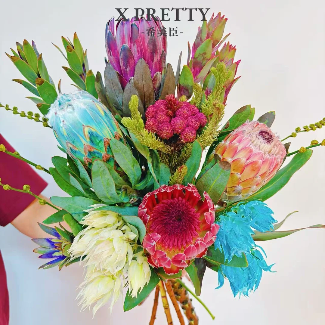 【莫奈】南非进口花 高档手捧花可做干花 花园 庭院 耐热 懒人 室外