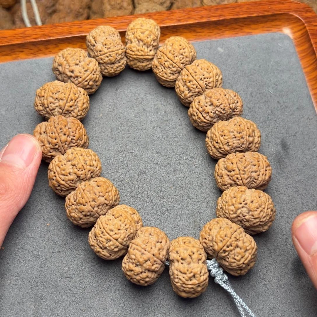 菩提19号尼泊尔大金刚六瓣23.5夹板菠萝蜜