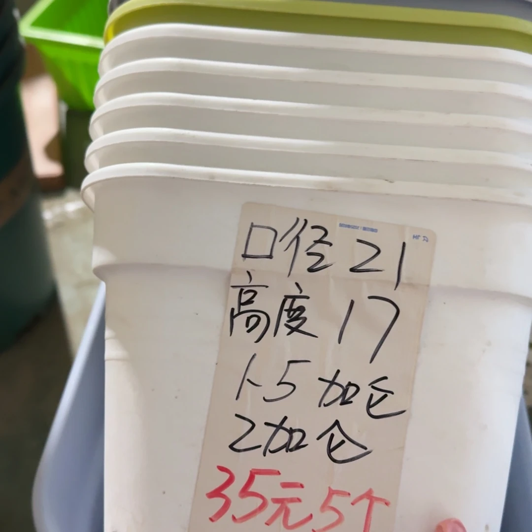 新款方盆口21无拖果绿5个