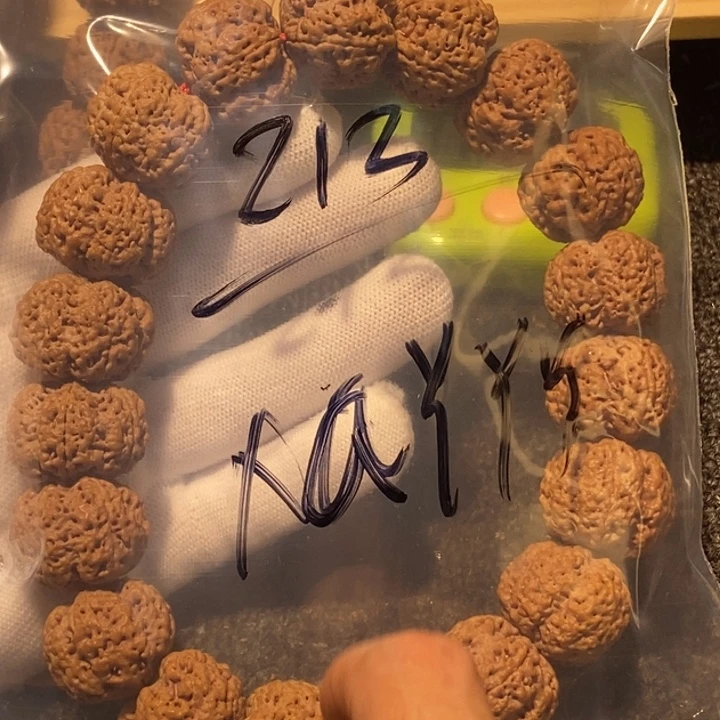 X***Y吊坠金刚菩提哈儿还想看呢么哈