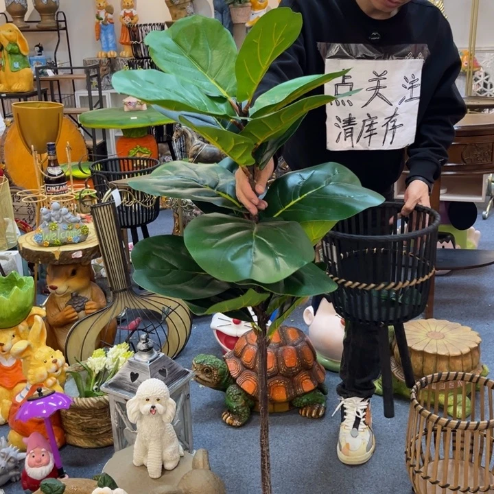 哈哈哈哈哈哈哈哈哈哈绿植