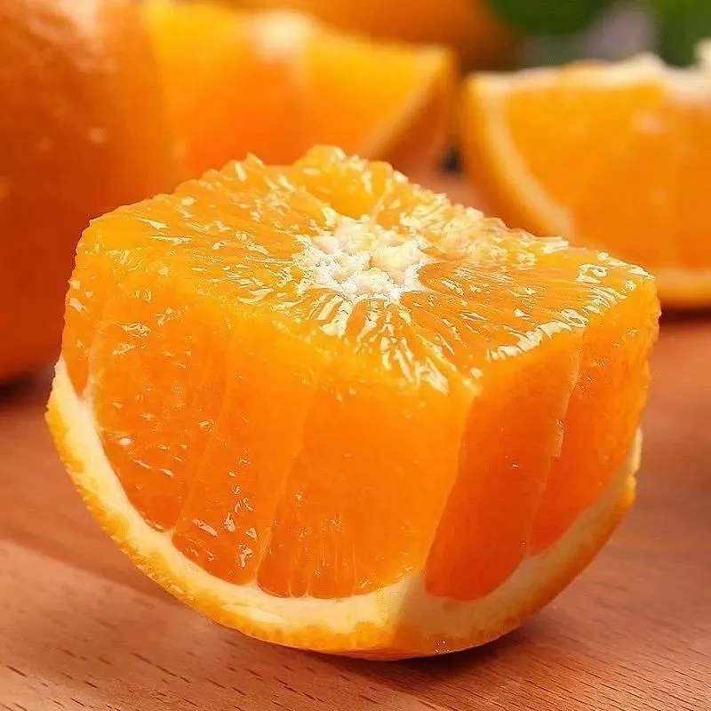 伦晚春橙脐橙春季新果新鲜采摘现摘现发3斤