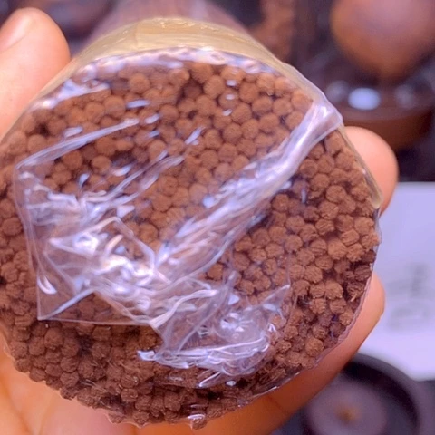 猕***桃木200克一包缅甸小叶降真香天然线香