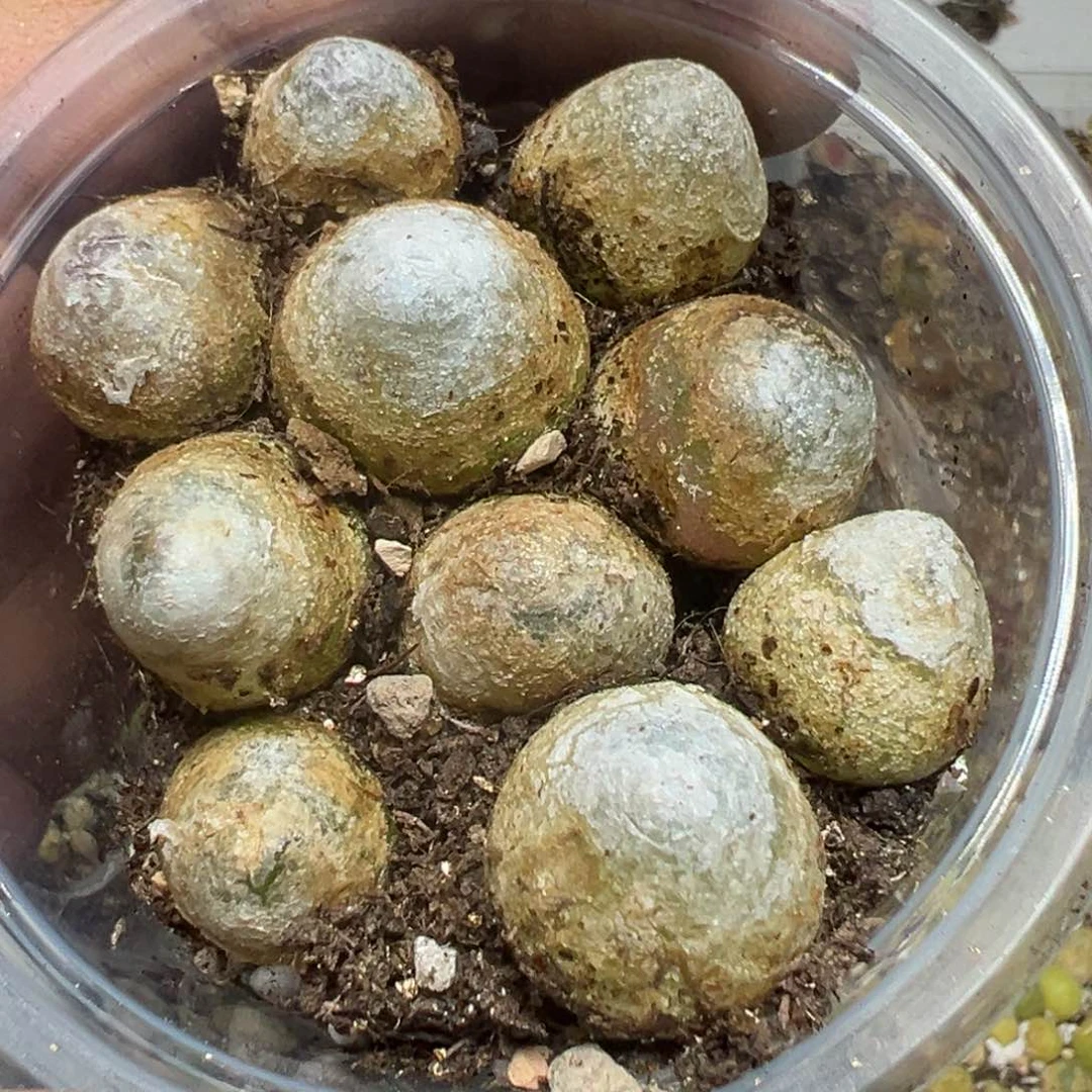 【闪购商品】 465。