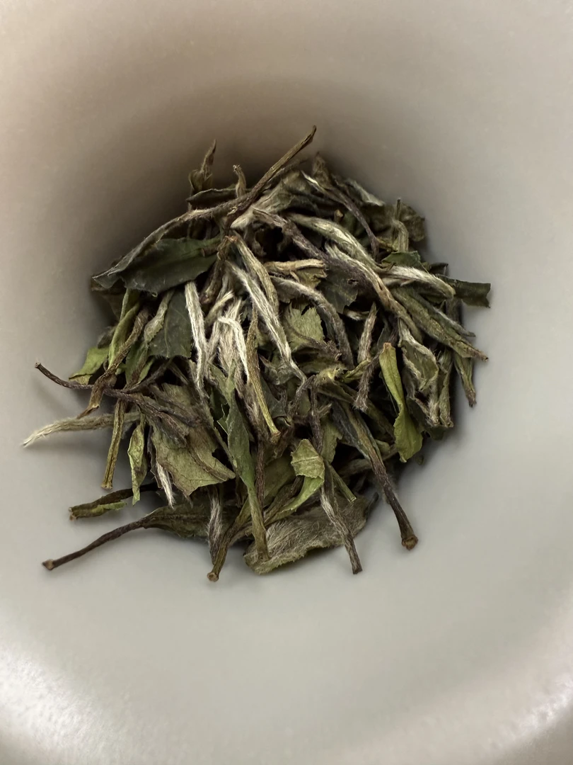 【华茶一号-2023荒野白牡丹】花香馥郁 汤感甜柔