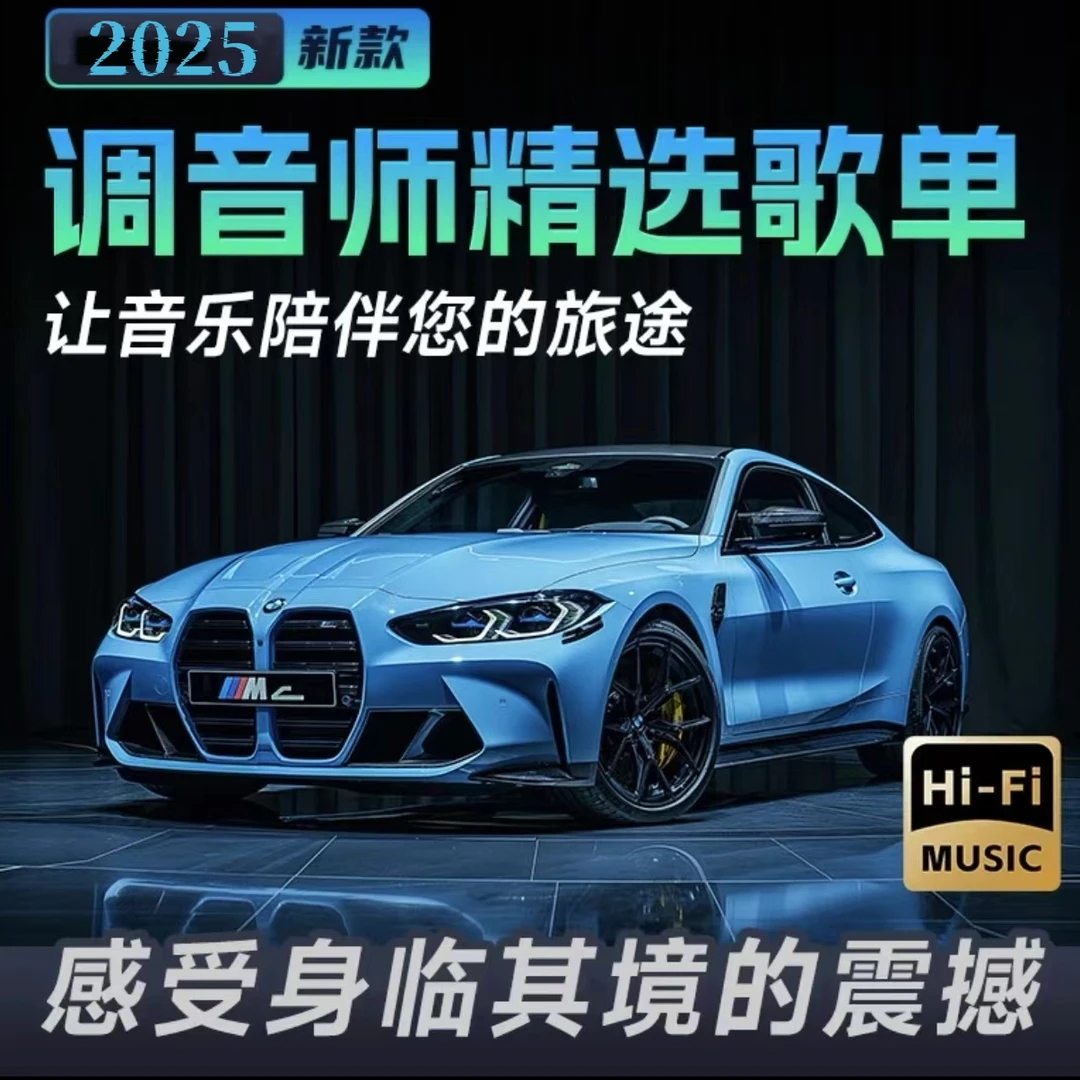 2025高端汽车音乐优盘 抖音流行 DJ  经典  高品质