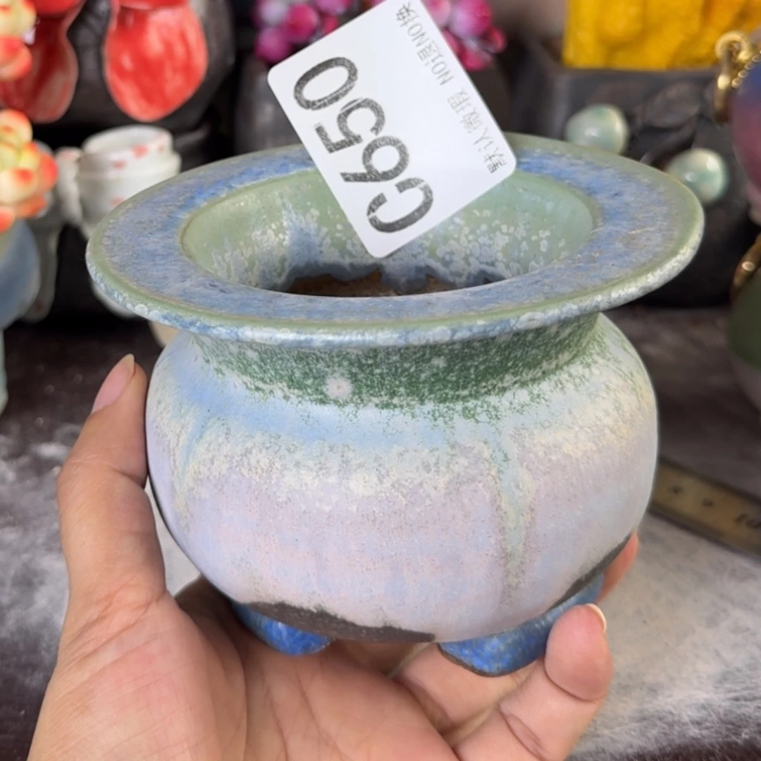 重庆小燕子欢迎那家650
