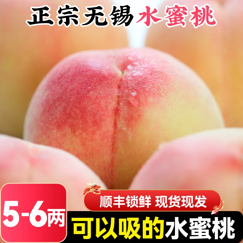 【5-6两】8个正宗无锡阳山水蜜桃子新鲜水果应季当季整箱礼盒装
