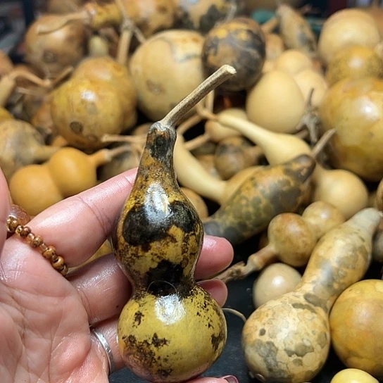 子*葫芦葫芦葫芦葫芦葫芦