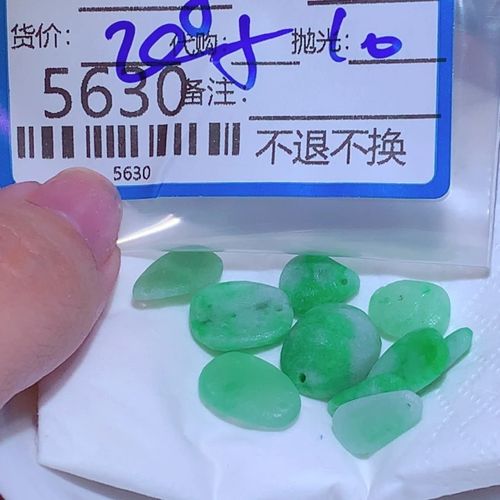 寻***0翡翠未镶嵌颈饰dgg