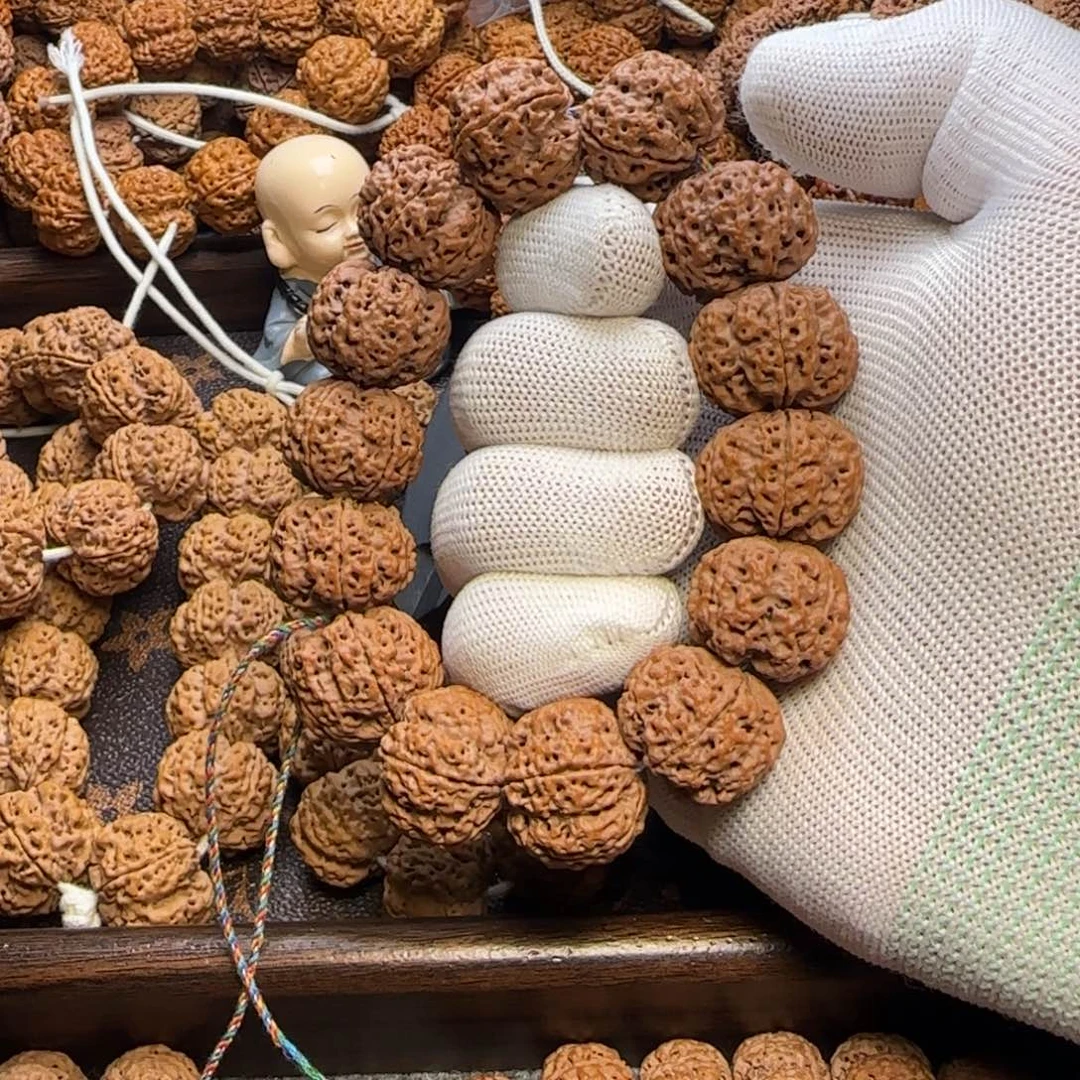 菩提金刚菩提23梅花蜂王