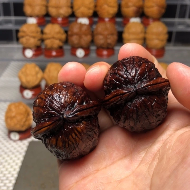 把件文玩核桃13金龟玉甲