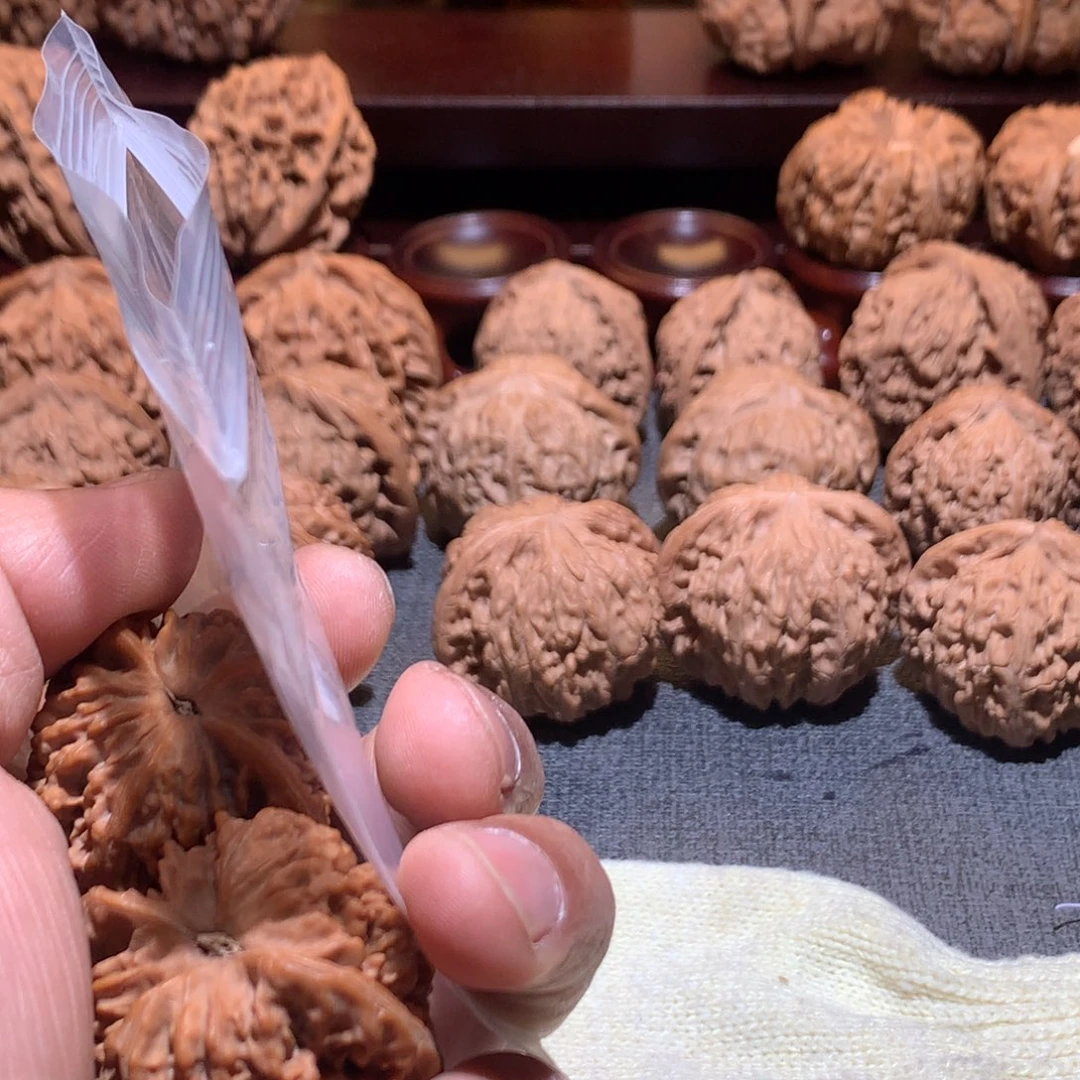 L***-桃核把件满天星612号