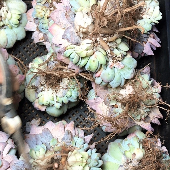 3/////////////////////