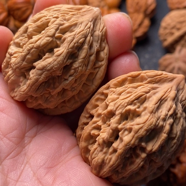 秦岭野生文玩核桃