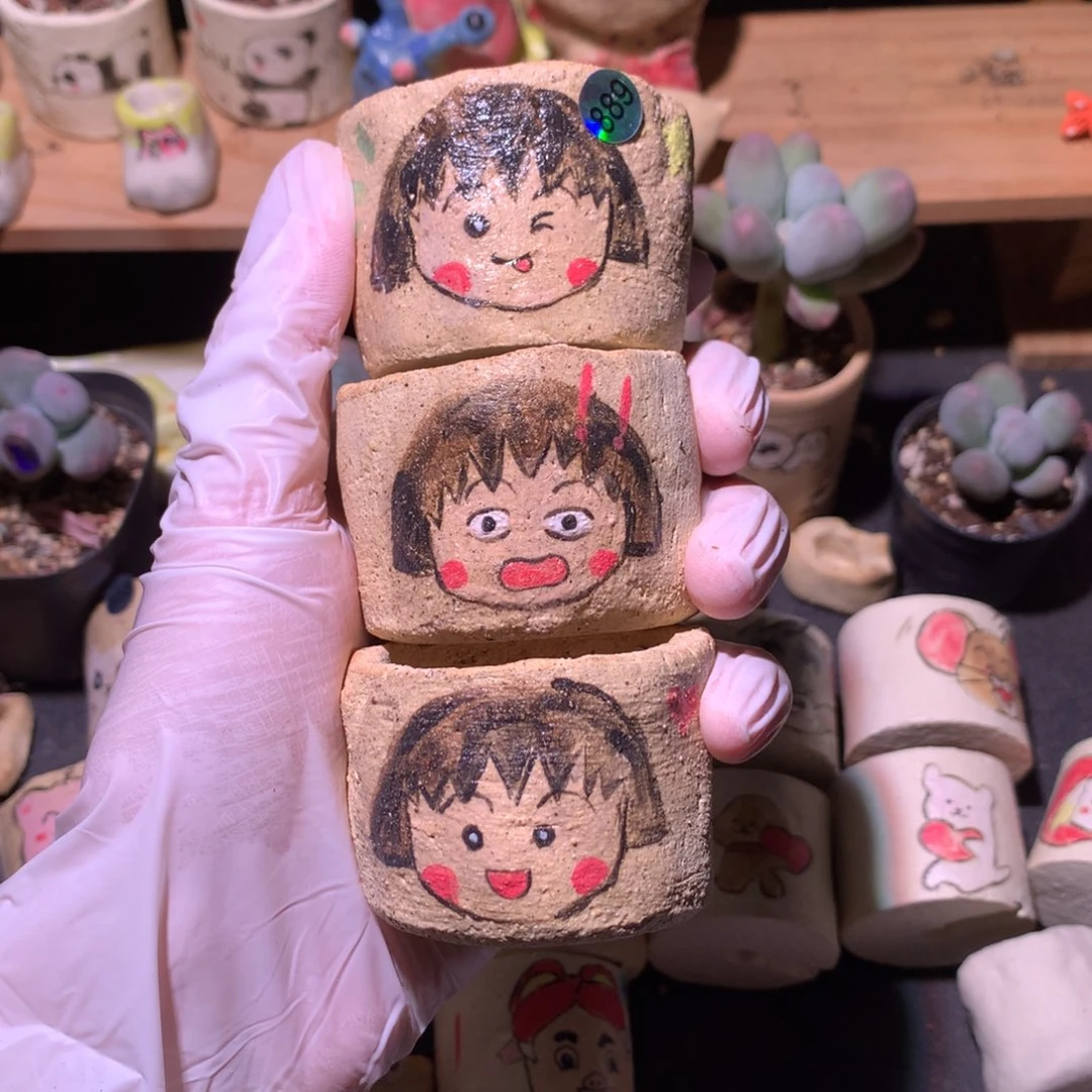 樱桃小丸子花盆哈哈哈