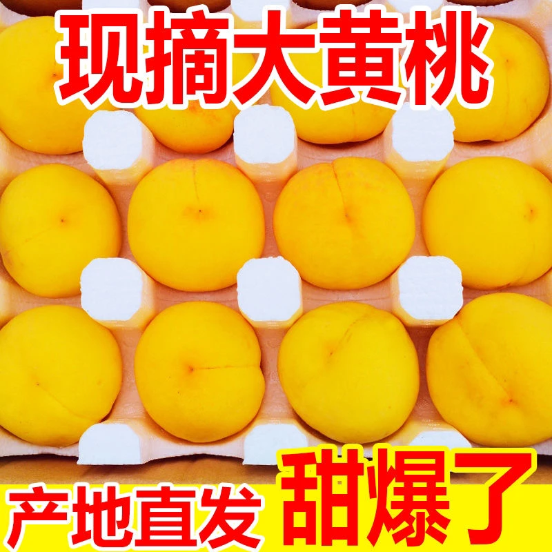 山东蒙阴纯甜黄桃正宗当季应季新鲜水果孕妇黄金蜜毛桃子锦绣整箱
