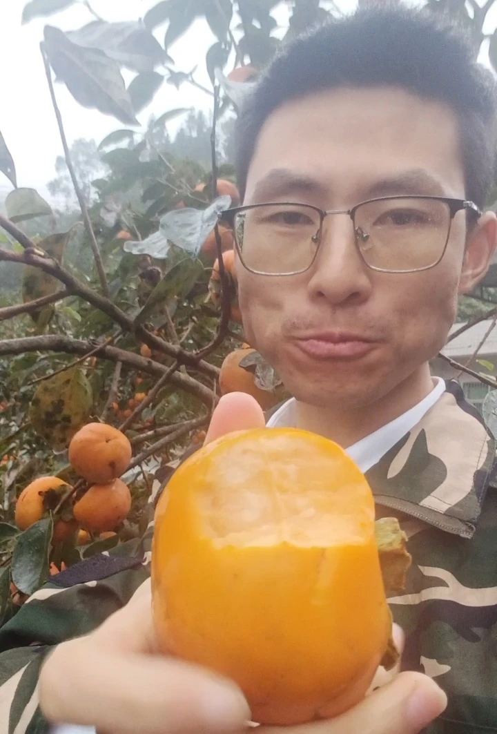 农家甜柿子脆甜可口果园现摘发货